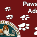Paws to Adopt Page