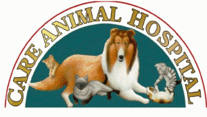 CareAnimalHospital